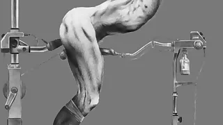 2126 bdsm porn videos